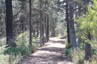 Enlarge photo 30
