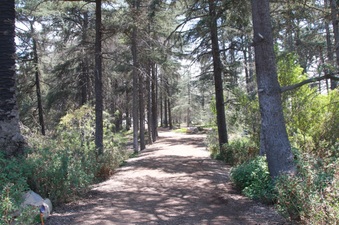 Enlarge photo 28
