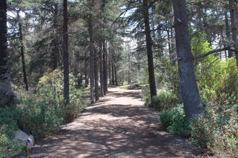 Enlarge photo 29