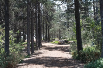Enlarge photo 27