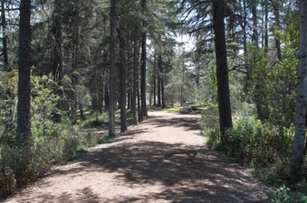 Enlarge photo 26