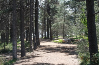 Enlarge photo 24