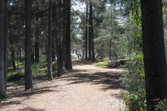 Enlarge photo 25