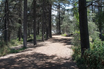 Enlarge photo 23