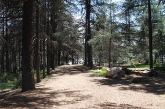 Enlarge photo 22
