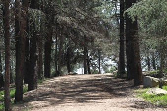 Enlarge photo 21
