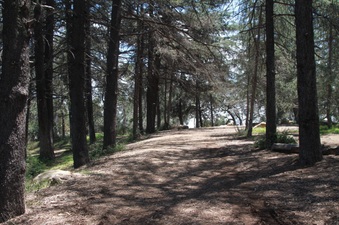 Enlarge photo 20