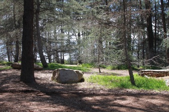 Enlarge photo 18