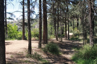 Enlarge photo 17