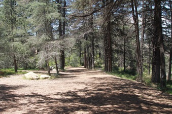 Enlarge photo 16