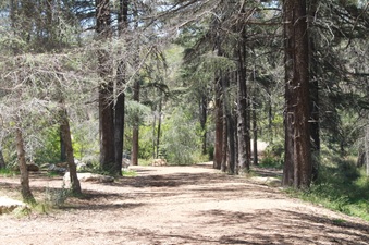 Enlarge photo 15