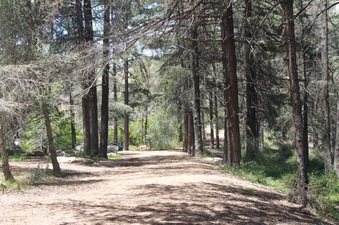 Enlarge photo 14