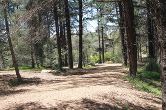Enlarge photo 13