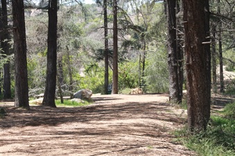 Enlarge photo 12