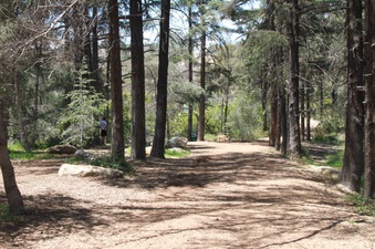 Enlarge photo 11
