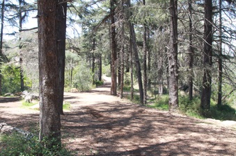Enlarge photo 10