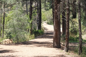 Enlarge photo 9