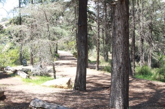 Enlarge photo 8