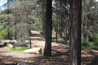 Enlarge photo 7