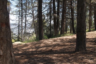 Enlarge photo 6