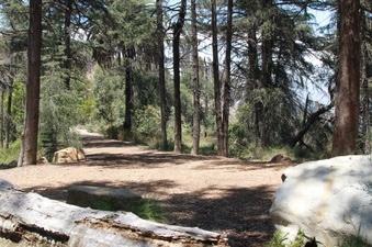 Enlarge photo 5