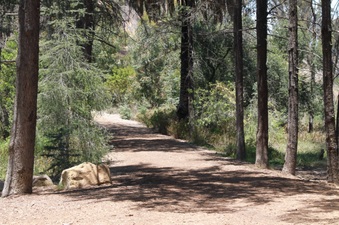 Enlarge photo 3