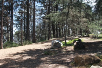 Enlarge photo 4