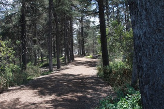 Enlarge photo 2