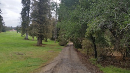 Off Road thru Puddle