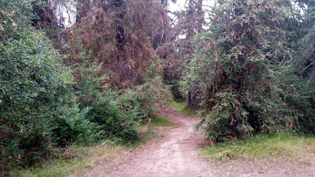 Enlarge photo 2