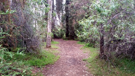 Enlarge photo 3