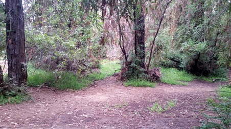 Enlarge photo 4
