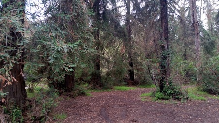 Enlarge photo 5