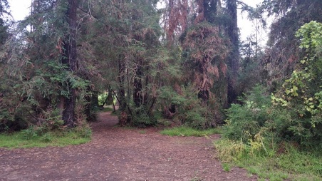 Enlarge photo 7