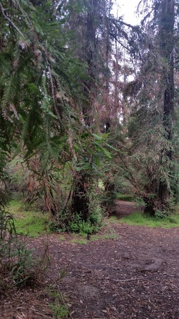 Enlarge photo 9