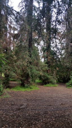 Enlarge photo 10