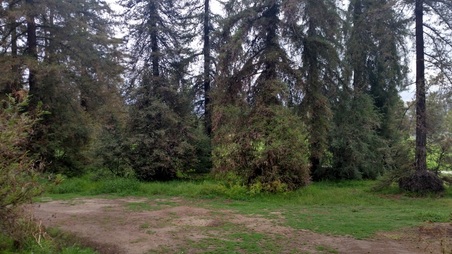 Enlarge photo 12