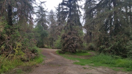 Enlarge photo 13