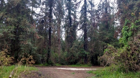 Enlarge photo 15