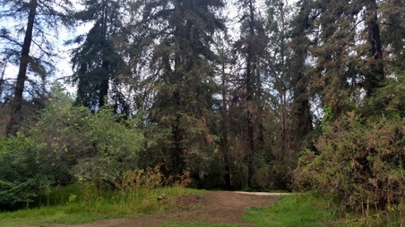 Enlarge photo 16