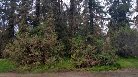 Enlarge photo 17