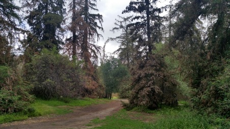 Enlarge photo 18