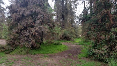 Enlarge photo 19