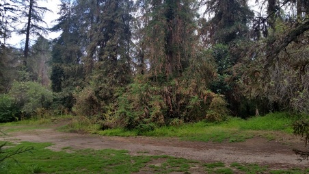 Enlarge photo 20