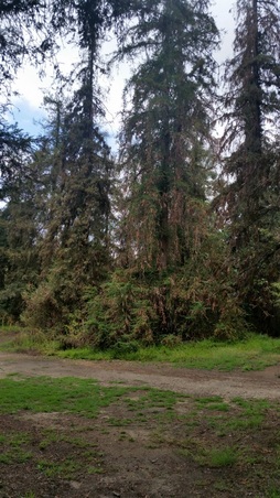 Enlarge photo 21