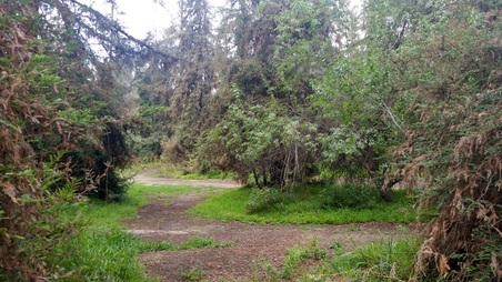 Enlarge photo 22
