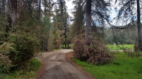 Enlarge photo 23