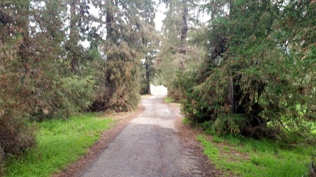 Enlarge photo 24