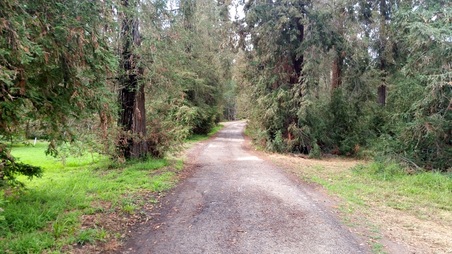 Enlarge photo 25
