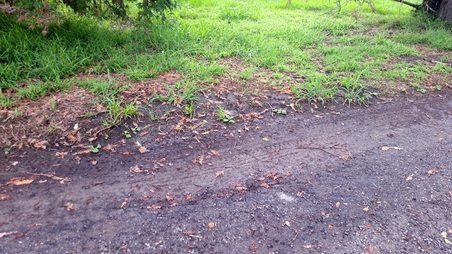 Enlarge photo 26